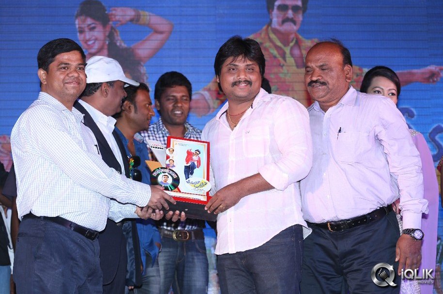 Bheemavaram-Bullodu-Platinum-Disc-Function